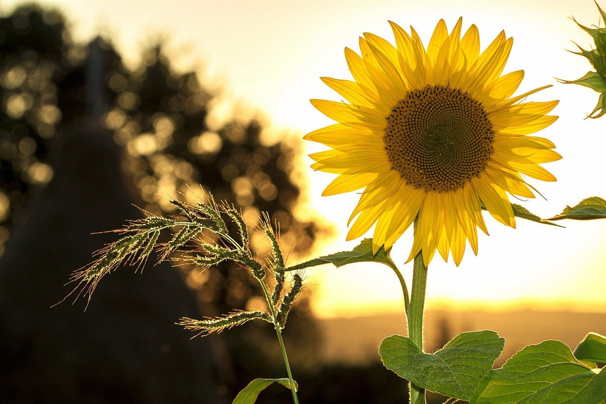 Besparen met een pompschakelaar in de zomer